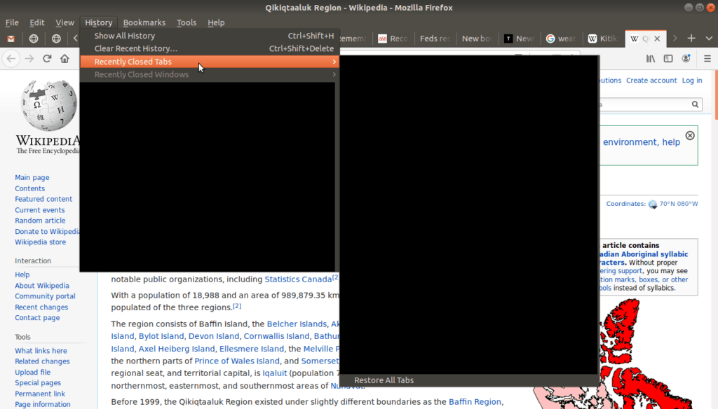 Browsers history tab open.