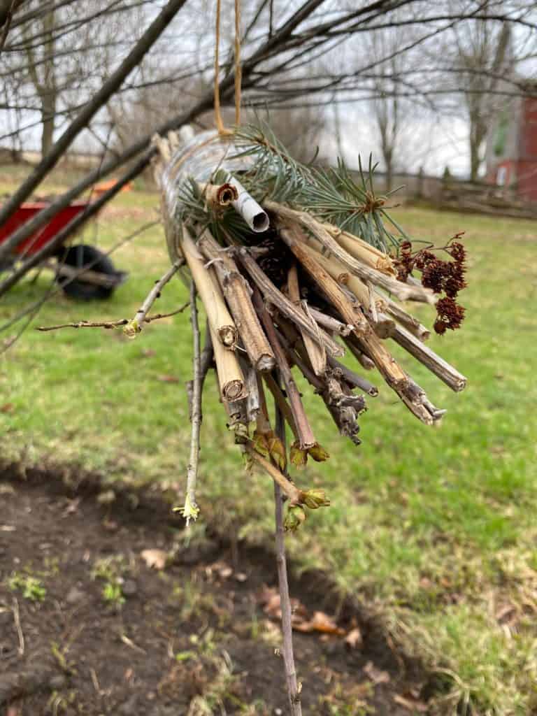 A bee hotel, created using recycled and natural materials, hanging outside on a tree.