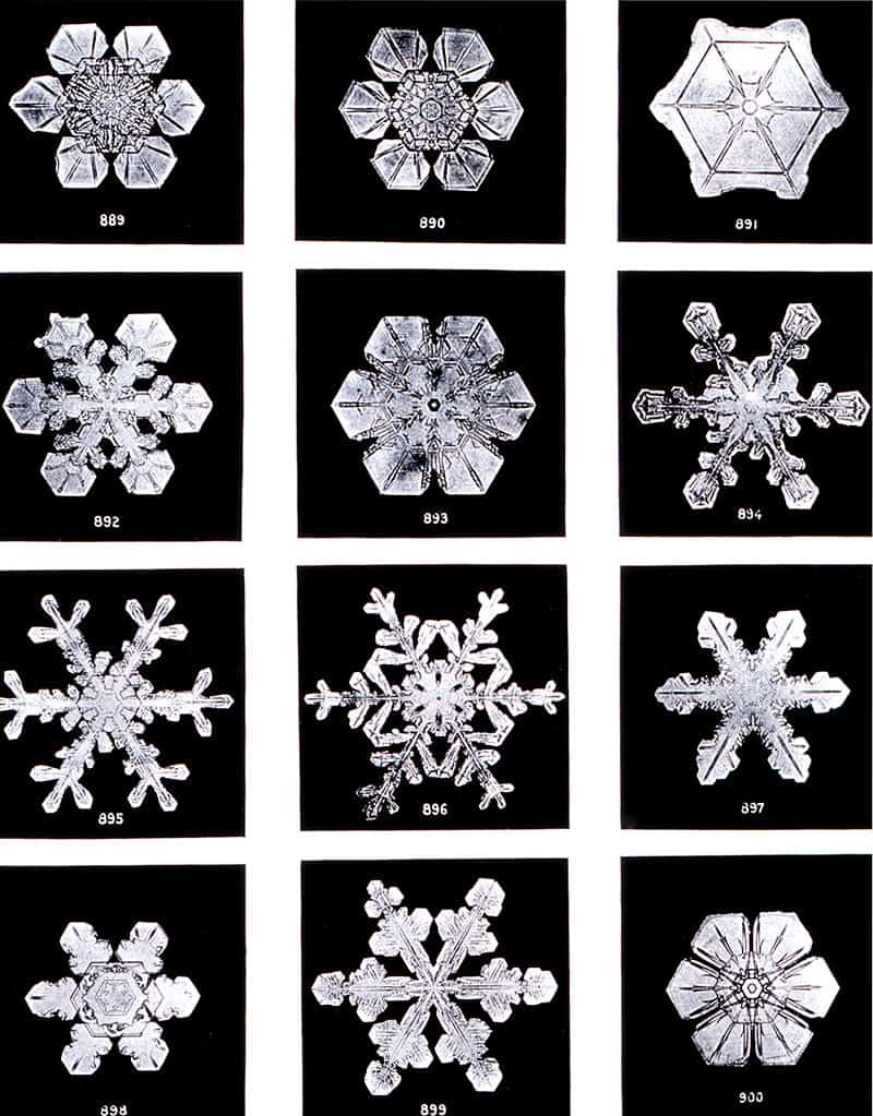 Different snowflakes.