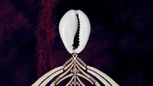 human skeleton made out of shells and bone