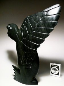 bird transformation