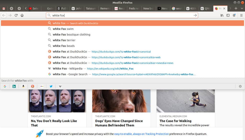 Searching white fox directly in browsers address bar.