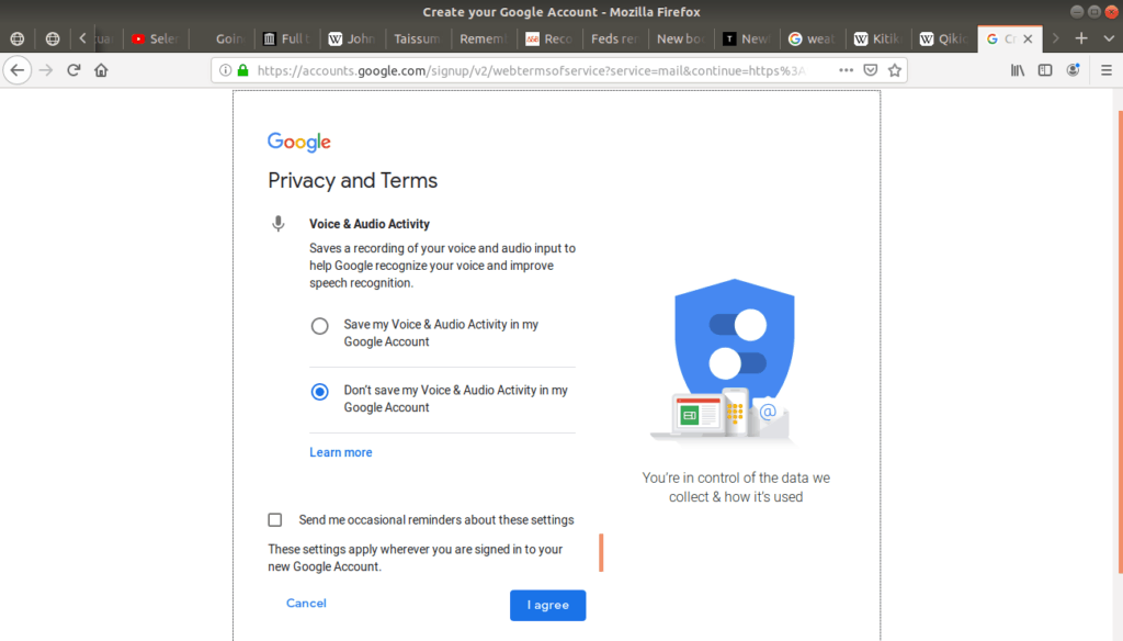 Privacy and Terms "voice and audio activity" option open on Gmail.