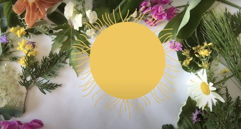 A screenshot from the Symmetry in Nature video.