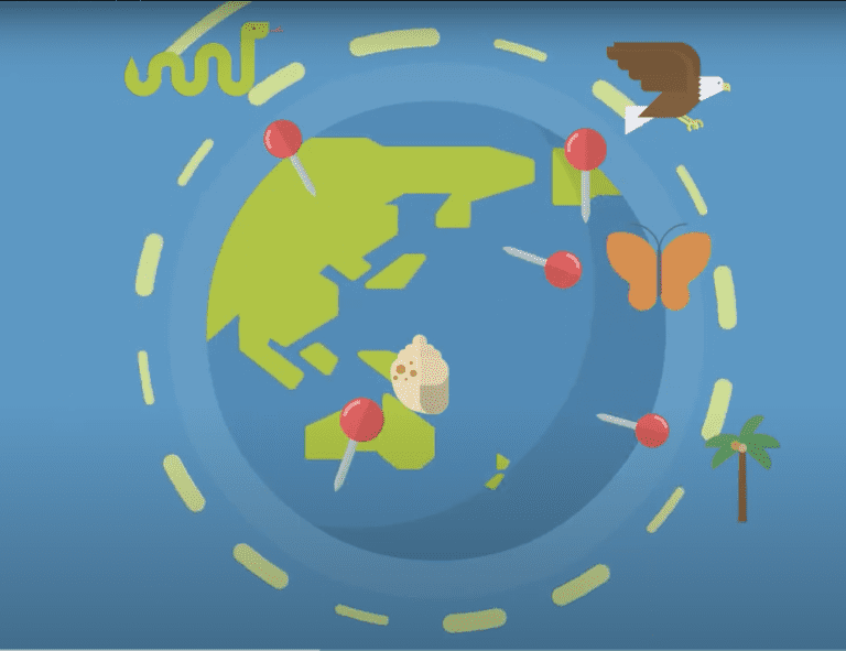An animated earth on a blue background, with a snack along the top.
