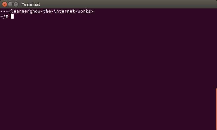 A screenshot displaying the connection information of a laptop using the Ubuntu operating system