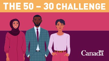 A graphic of drawn characters standing in front of a pink and dark pink background. 50-30 challenge is wrote above their heads.