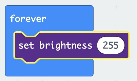 ‘Forever’ Loop with ‘Set brightness 255’ block inside