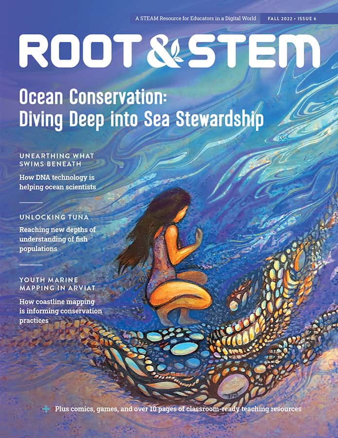 The cover of Root & STEM Issue 6.
