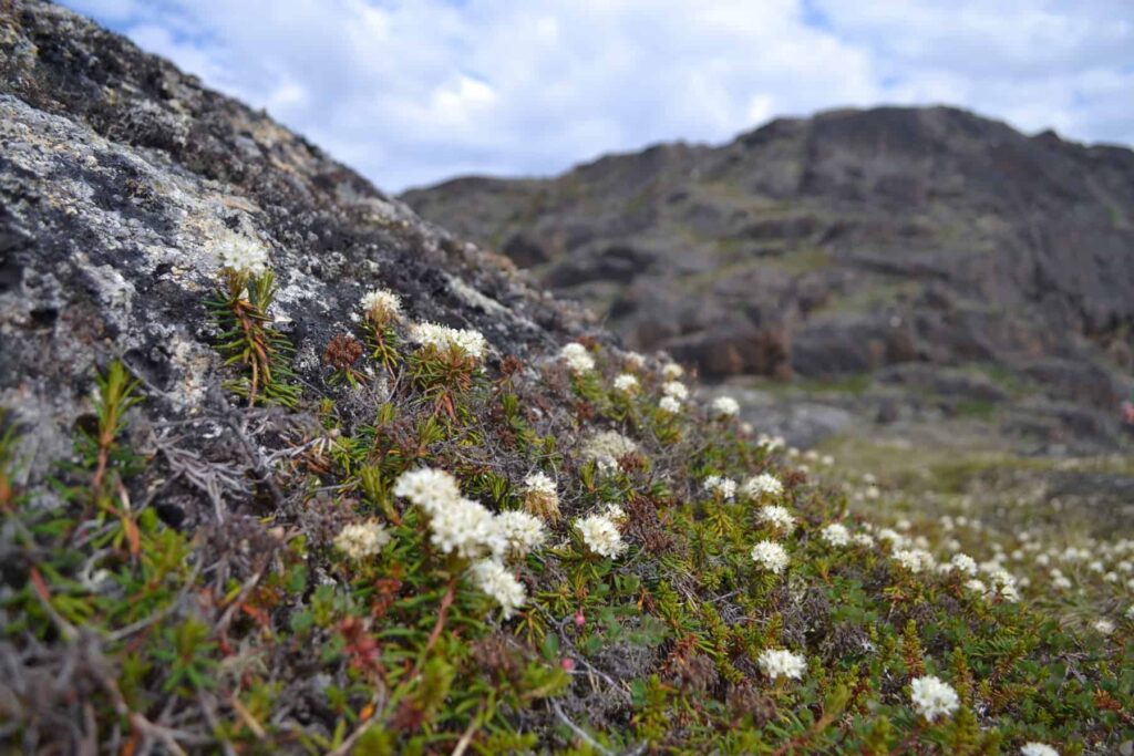 A Nunavut landscape