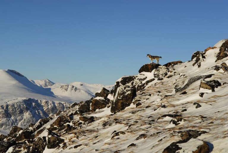 A Nunavut landscape